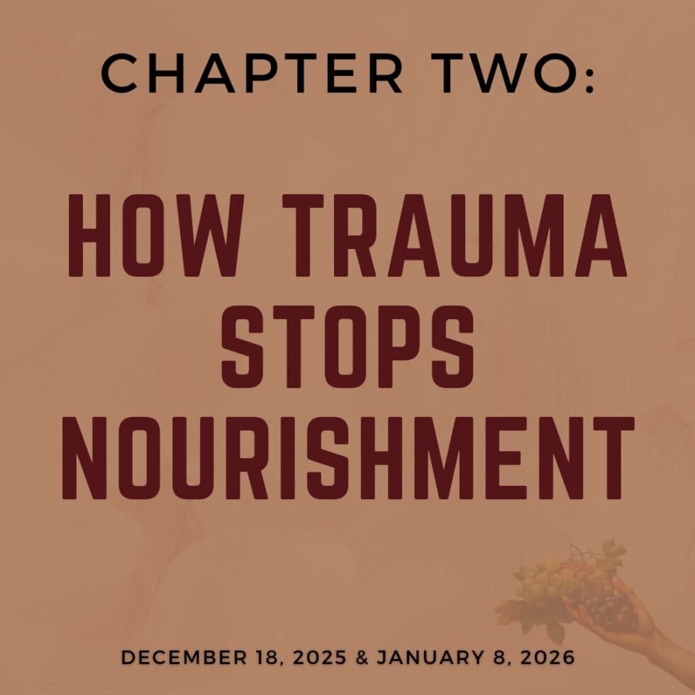 Lifting the Shadow off Nourishment: A Year of Healing Mother - Sarah Peyton
