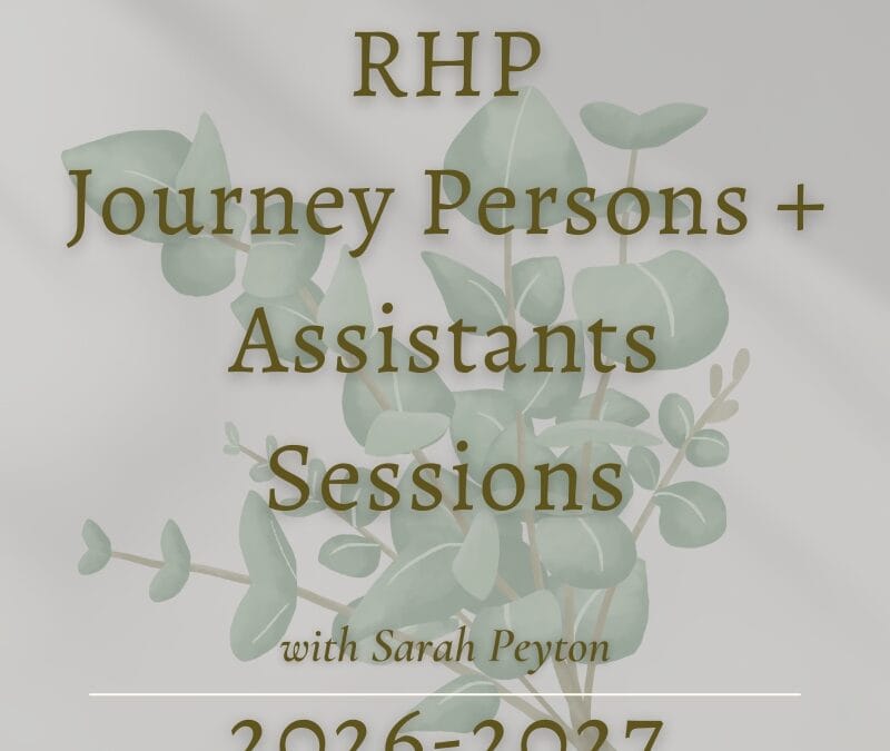 RHP Cohort IV – Sessions for Journey Persons and Assistants