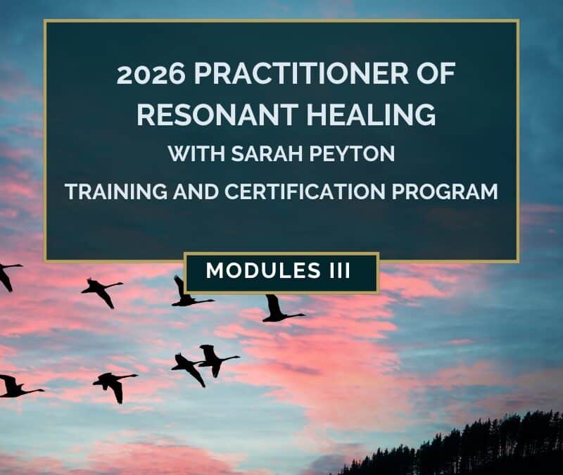 don’t add students -Practitioner of Resonant Healing 2026 – Module III